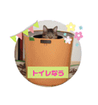 こじろうと愉快な仲間たち（個別スタンプ：29）