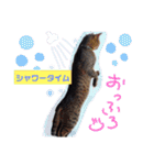 こじろうと愉快な仲間たち（個別スタンプ：31）