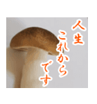 【飛び出す】キノコ(しめじ)（個別スタンプ：16）