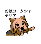 だじゃれドッグス だじゃれ犬大集合！（個別スタンプ：8）