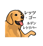 だじゃれドッグス だじゃれ犬大集合！（個別スタンプ：10）