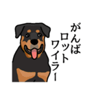 だじゃれドッグス だじゃれ犬大集合！（個別スタンプ：21）