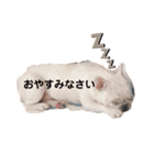 らいとすたんぷすりー（個別スタンプ：24）