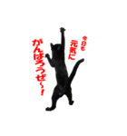 クセが強くて使いづらい黒猫オレオ（個別スタンプ：1）