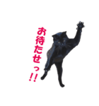 クセが強くて使いづらい黒猫オレオ（個別スタンプ：3）