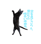 クセが強くて使いづらい黒猫オレオ（個別スタンプ：6）
