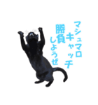 クセが強くて使いづらい黒猫オレオ（個別スタンプ：8）