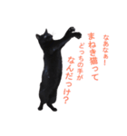 クセが強くて使いづらい黒猫オレオ（個別スタンプ：10）