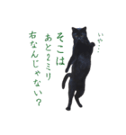 クセが強くて使いづらい黒猫オレオ（個別スタンプ：11）