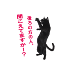 クセが強くて使いづらい黒猫オレオ（個別スタンプ：13）
