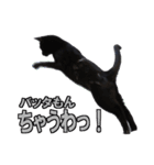クセが強くて使いづらい黒猫オレオ（個別スタンプ：15）