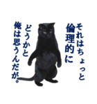 クセが強くて使いづらい黒猫オレオ（個別スタンプ：16）
