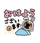 むた3（個別スタンプ：9）