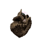 ねこやぎです（個別スタンプ：3）