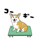 トリミングテーブルの上の犬（個別スタンプ：15）