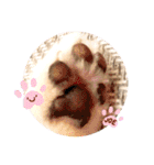 ポメチワのジョー☆使いやすい日常スタンプ（個別スタンプ：32）