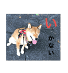 まこ姫スタンプ（個別スタンプ：2）