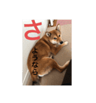 まこ姫スタンプ（個別スタンプ：13）