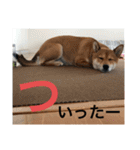 まこ姫スタンプ（個別スタンプ：22）