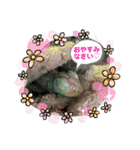 ブルーイグアナのベイちゃん③（個別スタンプ：2）
