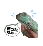 ブルーイグアナのベイちゃん③（個別スタンプ：7）
