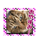 アンのシンプルごあいさつ（個別スタンプ：5）