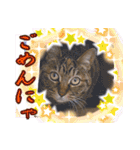 アンのシンプルごあいさつ（個別スタンプ：7）