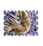 アンのシンプルごあいさつ（個別スタンプ：9）
