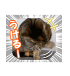 アンのシンプルごあいさつ（個別スタンプ：10）