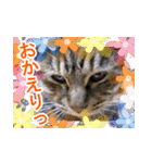 アンのシンプルごあいさつ（個別スタンプ：15）
