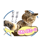 アンのシンプルごあいさつ（個別スタンプ：20）