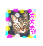 アンのシンプルごあいさつ（個別スタンプ：24）