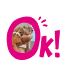 パンサーカメレオンのバルくん①（個別スタンプ：11）
