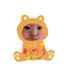 ゆづまるのまいにち（個別スタンプ：36）