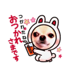 キキララスタンプたち（個別スタンプ：4）