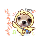 キキララスタンプたち（個別スタンプ：11）