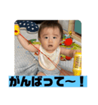 チビタロウ第3弾（個別スタンプ：25）