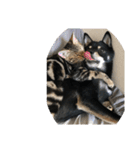 黒柴犬と猫の日常使いスタンプ2（個別スタンプ：28）