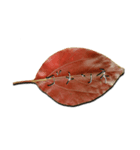 秋の葉っぱ（個別スタンプ：15）