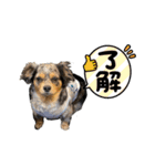 エイトPart5（個別スタンプ：23）