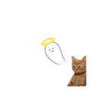 ふーちゃんきーちゃん仔猫ver.（個別スタンプ：3）