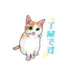 猫のイラストスタンプ。（個別スタンプ：1）