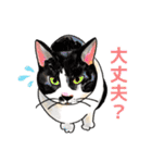 猫のイラストスタンプ。（個別スタンプ：2）