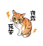 猫のイラストスタンプ。（個別スタンプ：6）