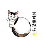 猫のイラストスタンプ。（個別スタンプ：8）