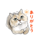 猫のイラストスタンプ。（個別スタンプ：11）