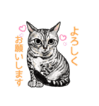 猫のイラストスタンプ。（個別スタンプ：14）