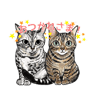 猫のイラストスタンプ。（個別スタンプ：15）