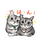 猫のイラストスタンプ。（個別スタンプ：18）