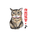 猫のイラストスタンプ。（個別スタンプ：21）